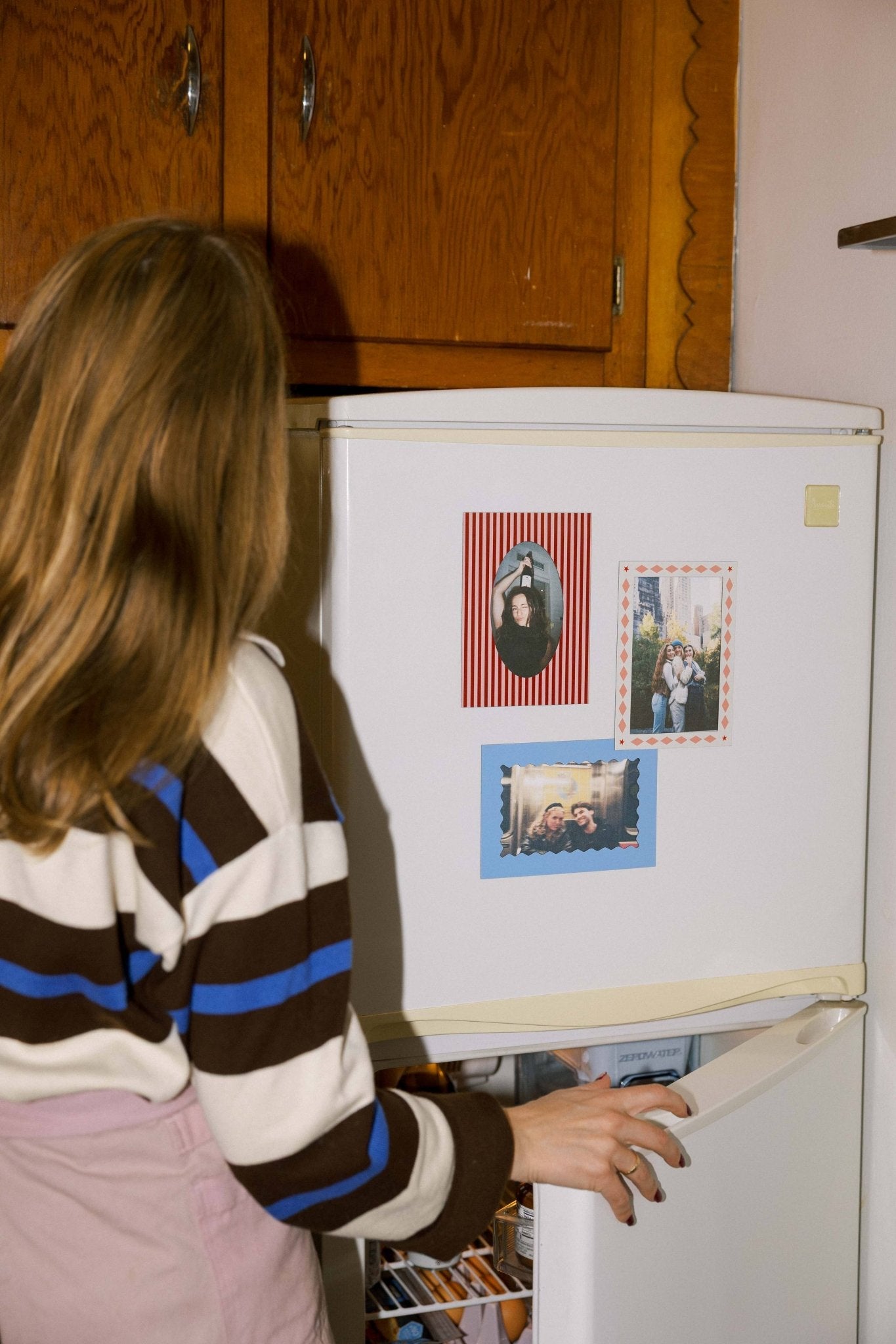 Magnetic Frames - Box Turtle