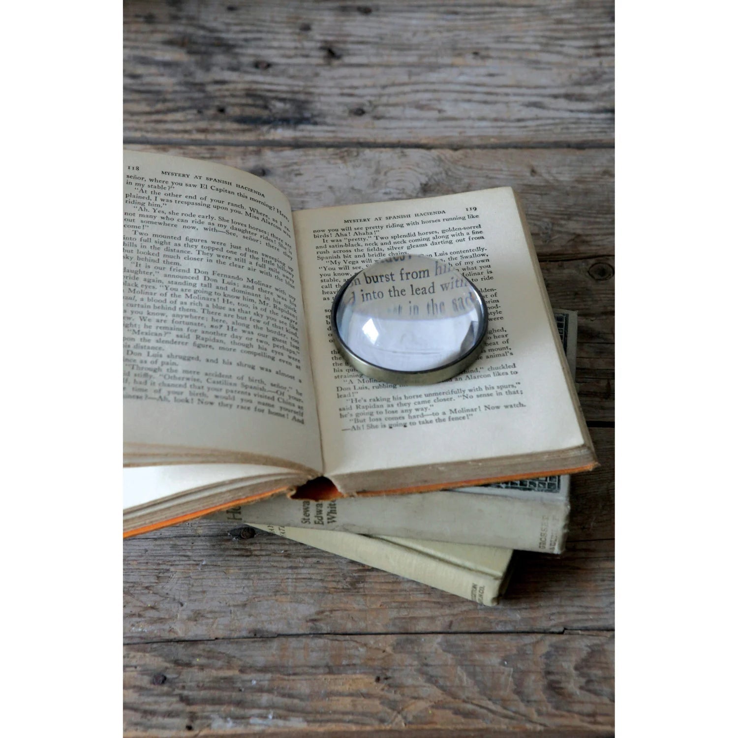 Magnifying Glass Paperweight - Box Turtle