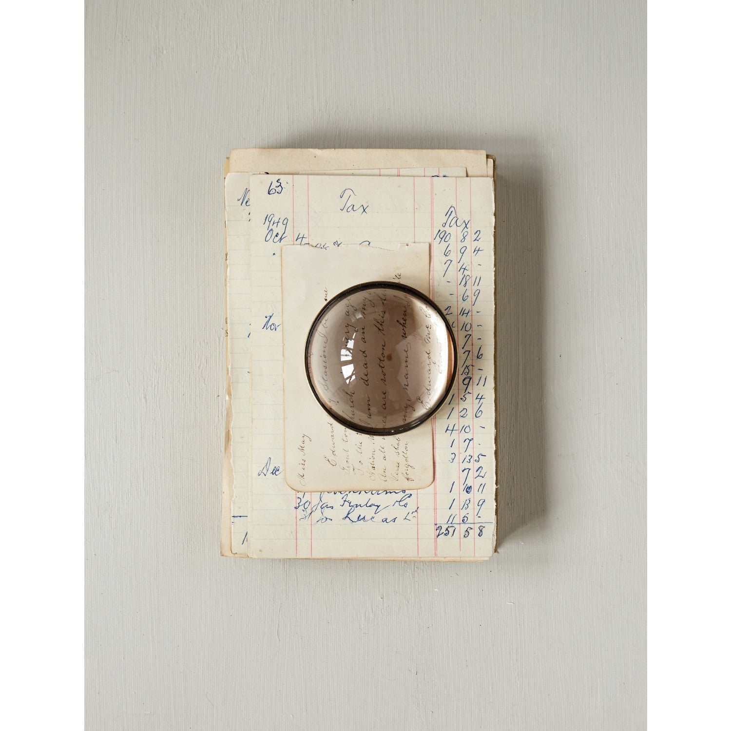 Magnifying Glass Paperweight - Box Turtle
