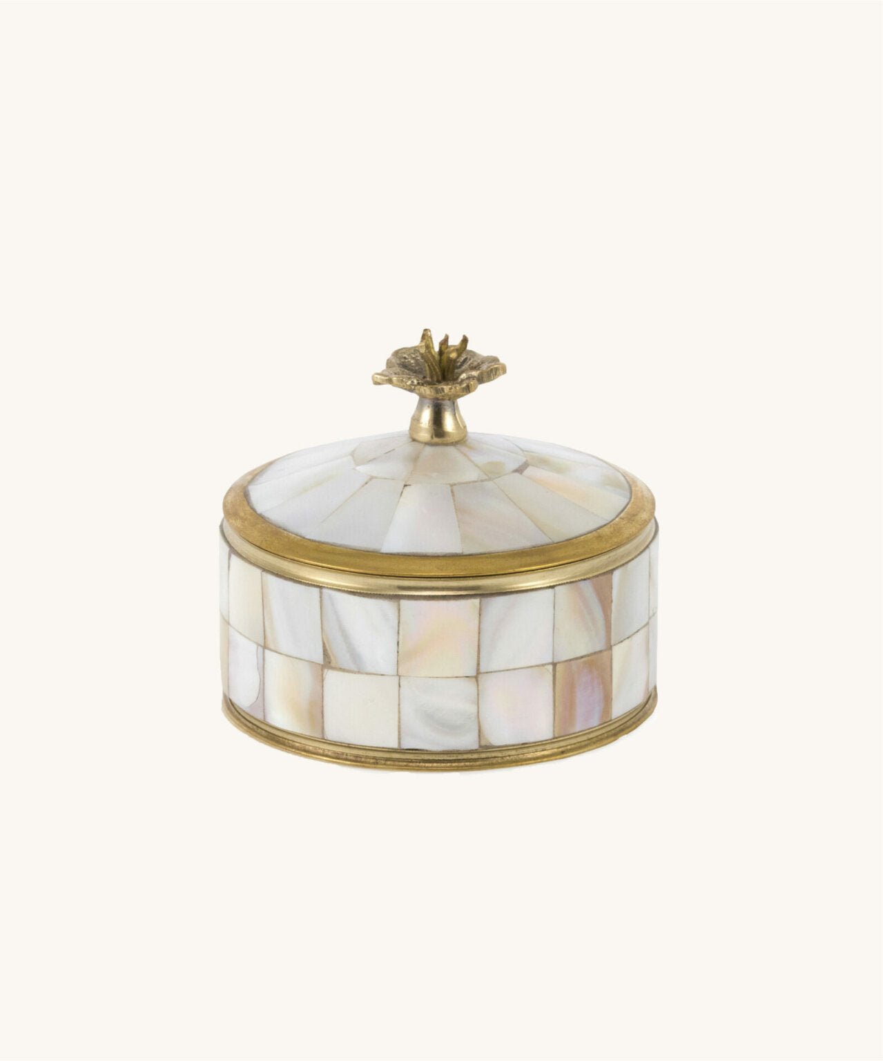 Maisie Pearly Circus Box - Box Turtle