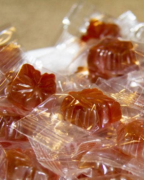 Maple Drops Candy - Box Turtle