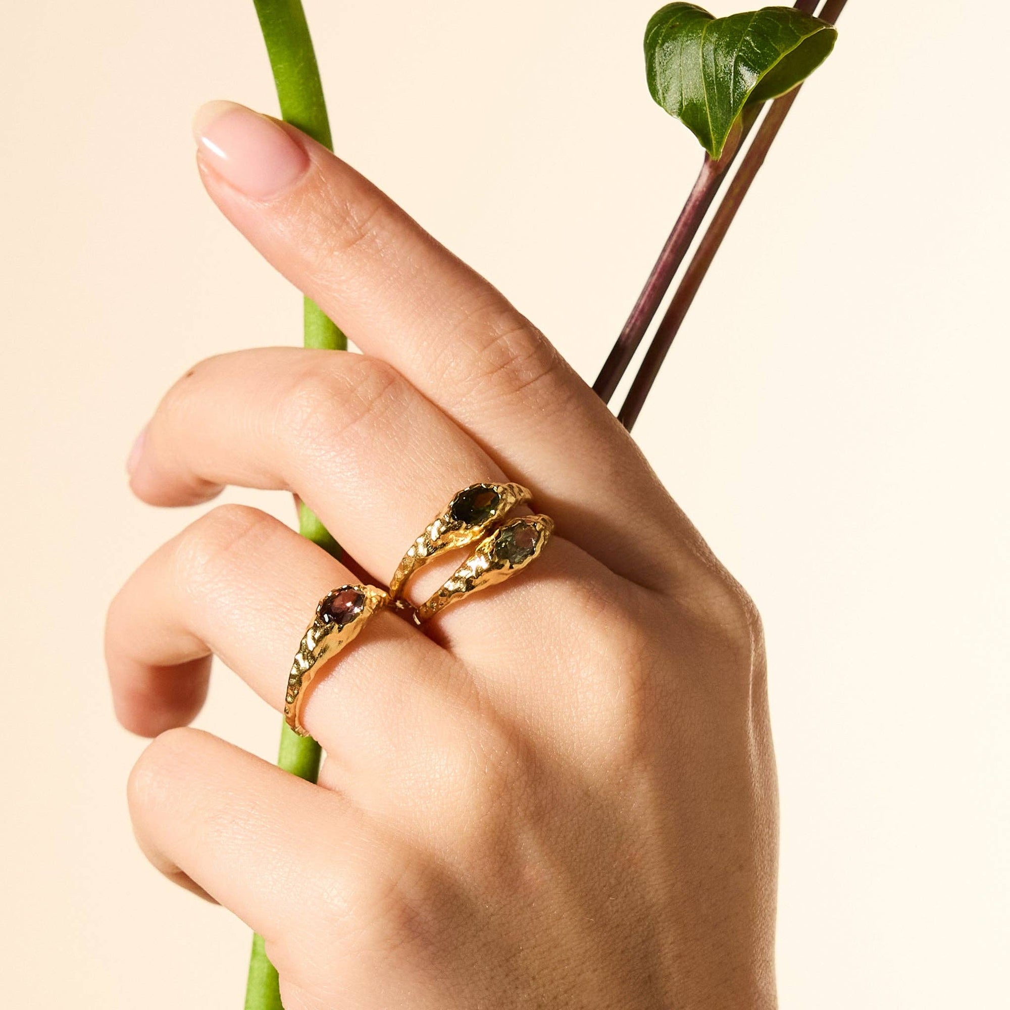 Maria Mini Celadon Ring - Box Turtle