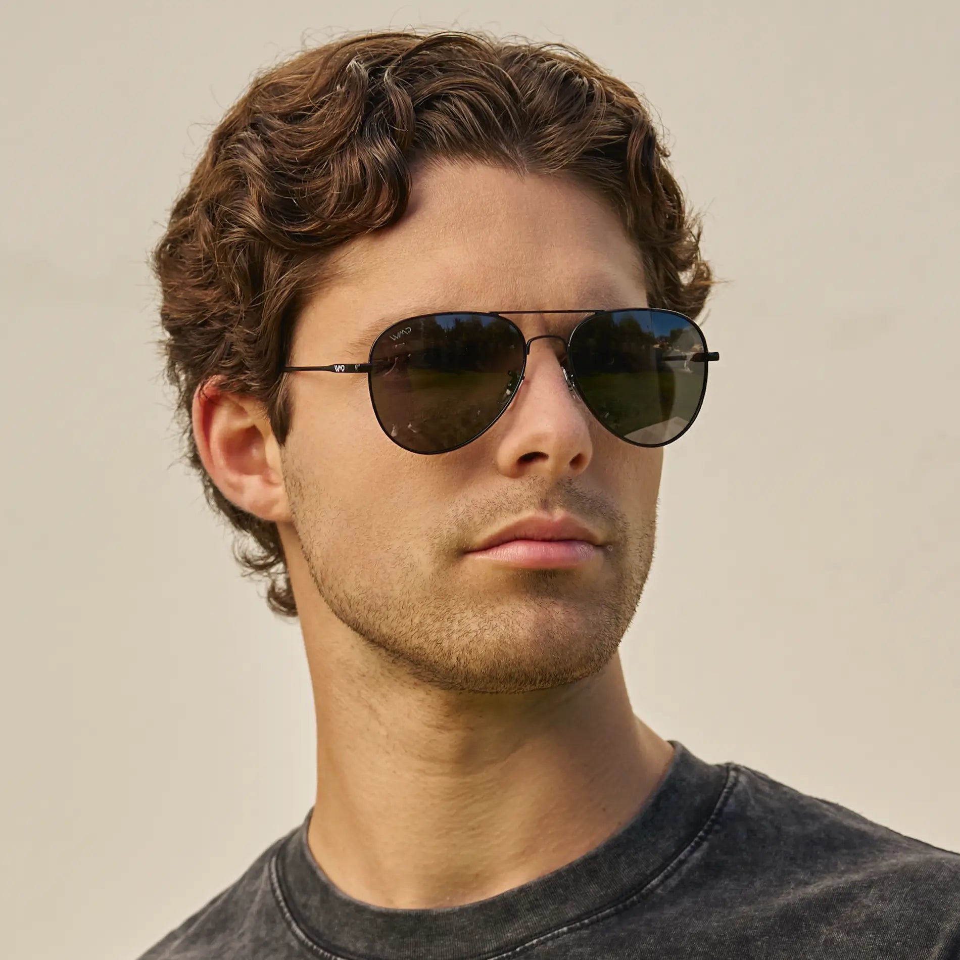 Maxwell - Polarized Aviator Sunglasses - Box Turtle