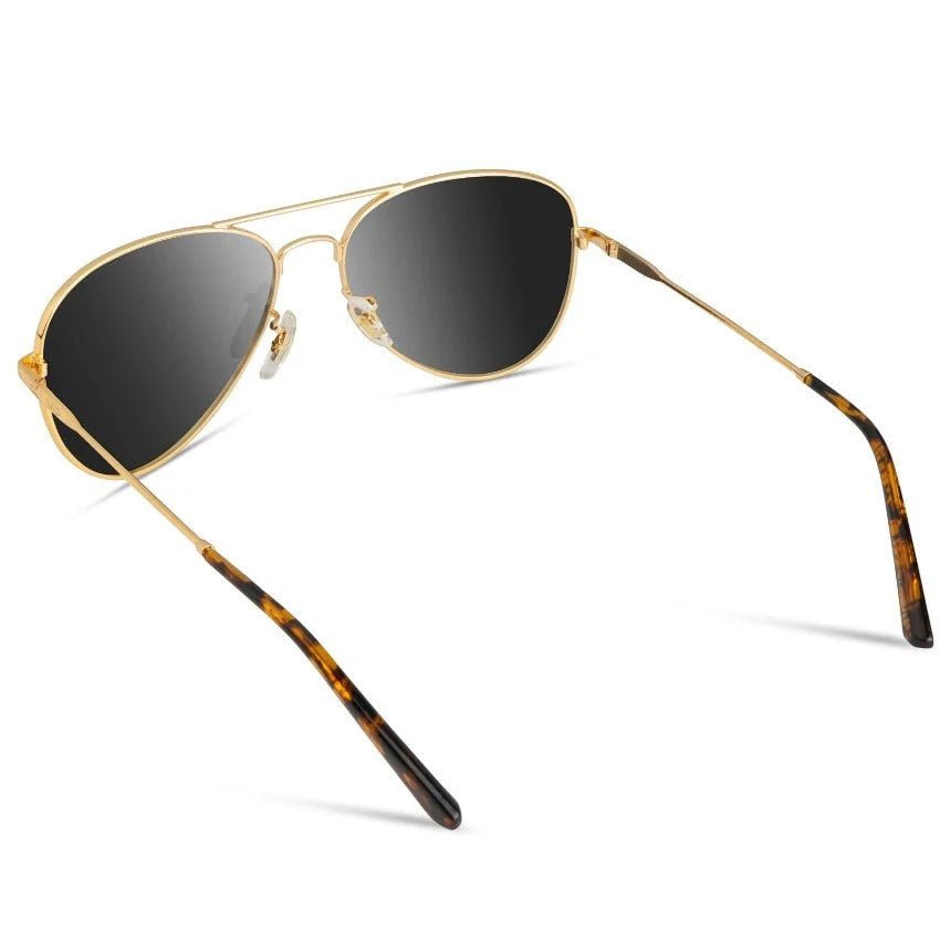 Maxwell Sunglasses - Box Turtle