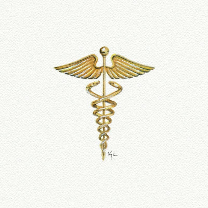 Medical Symbol Miniature Watercolor Painting - Box Turtle