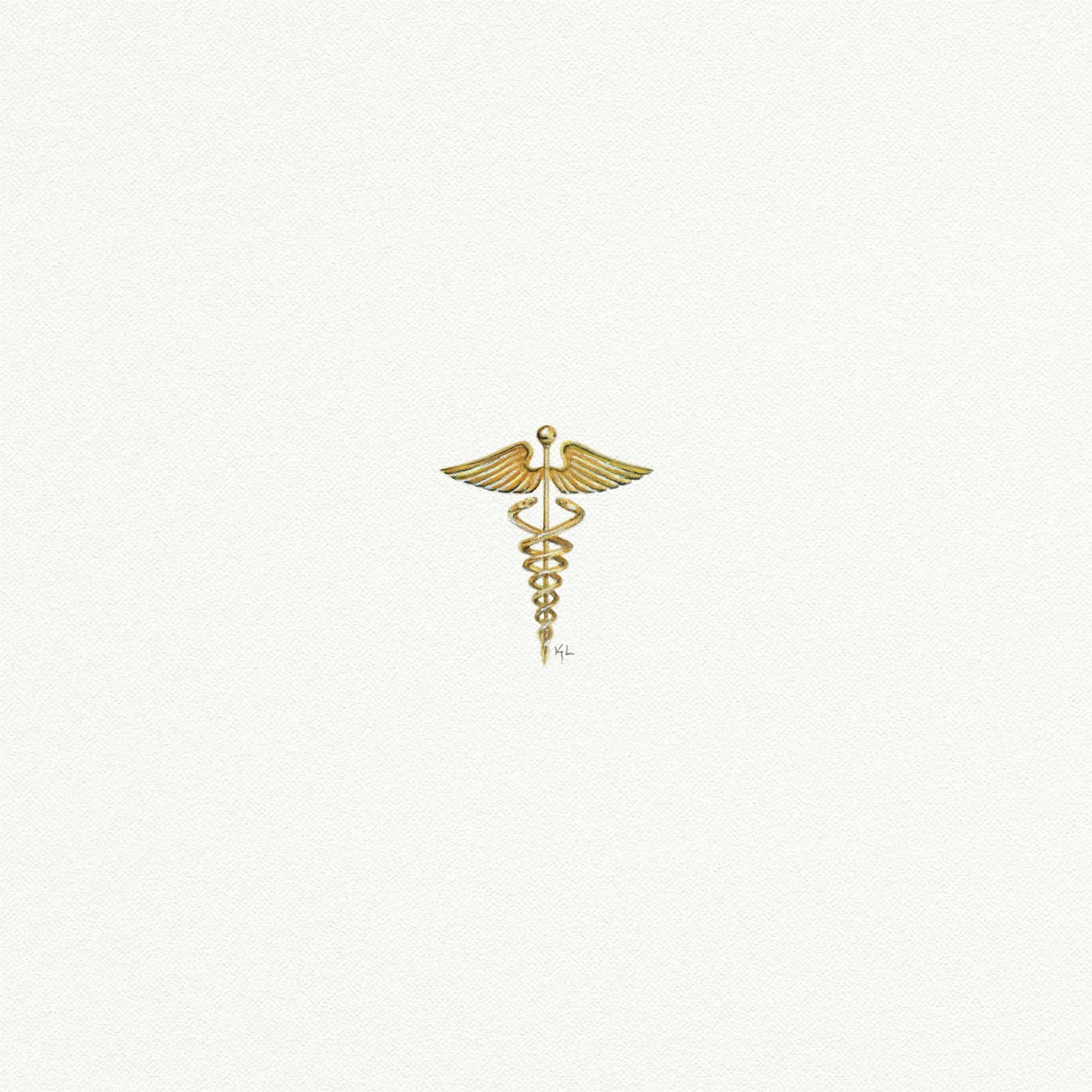 Medical Symbol Miniature Watercolor Painting - Box Turtle