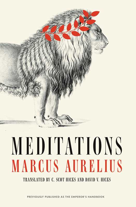 Meditations - Box Turtle