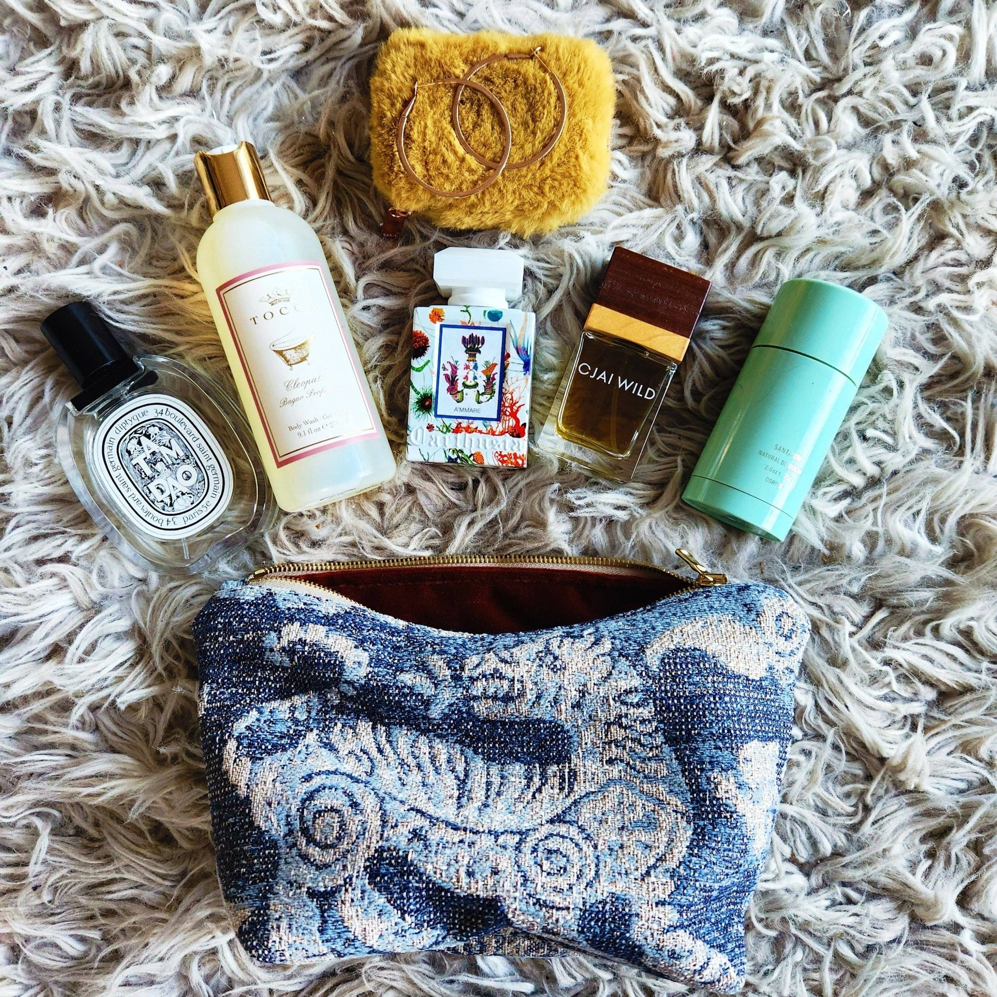 Medium Tiger Traveller - Box Turtle