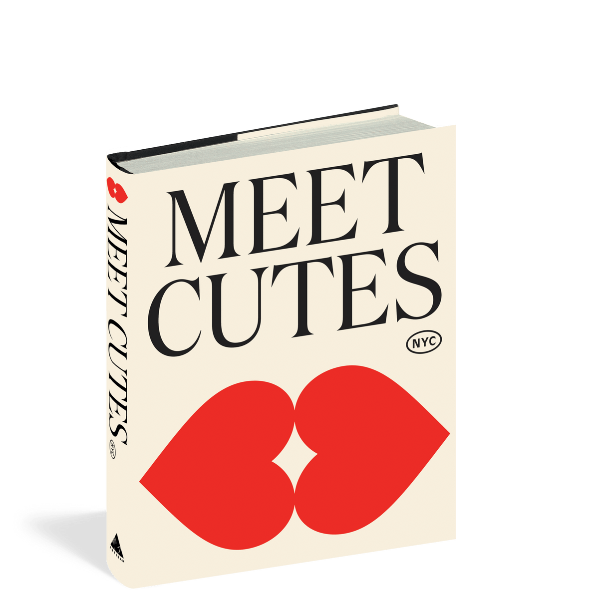 Meet Cutes NYC - Box Turtle