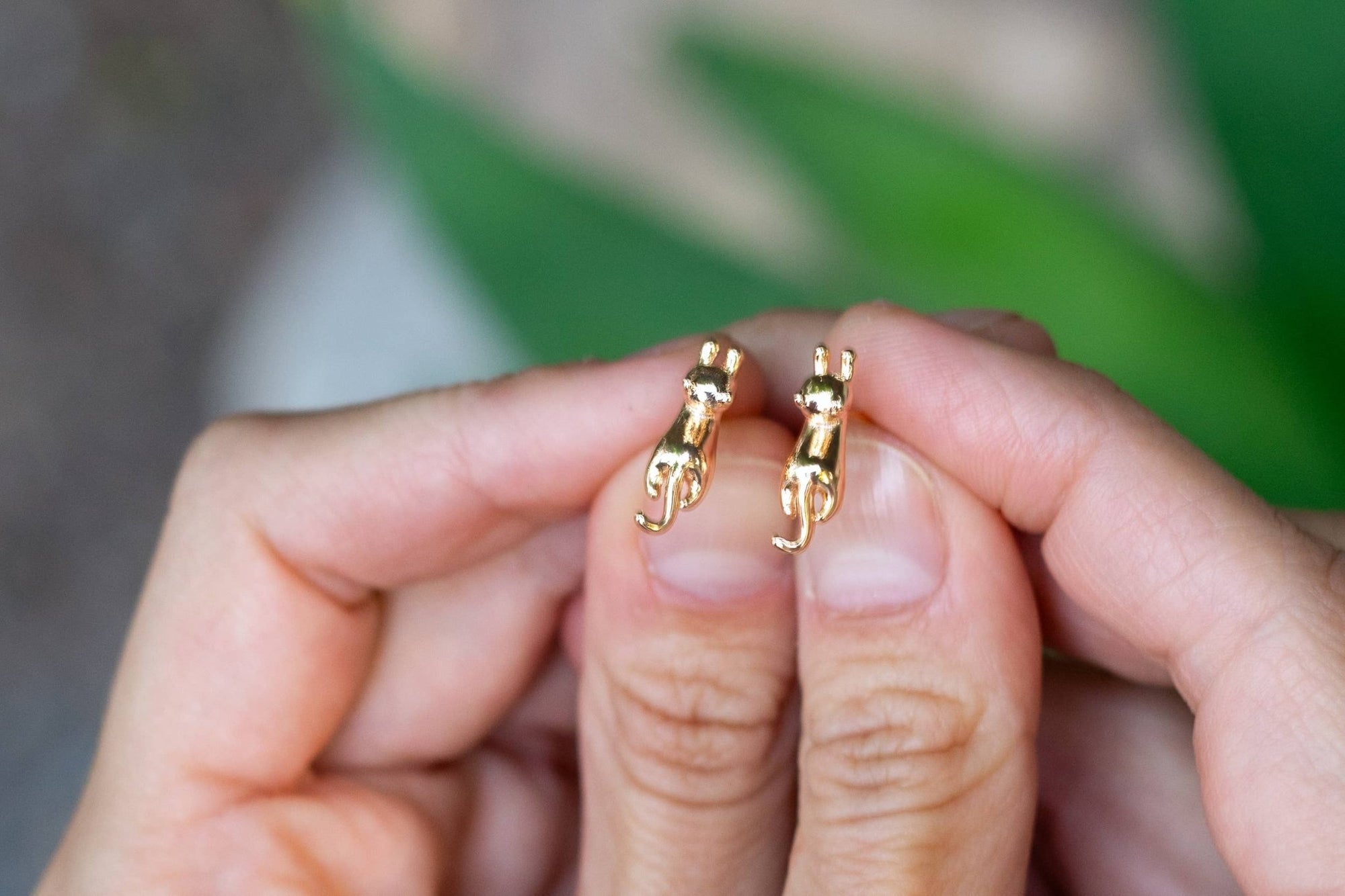 Meow Studs - Box Turtle
