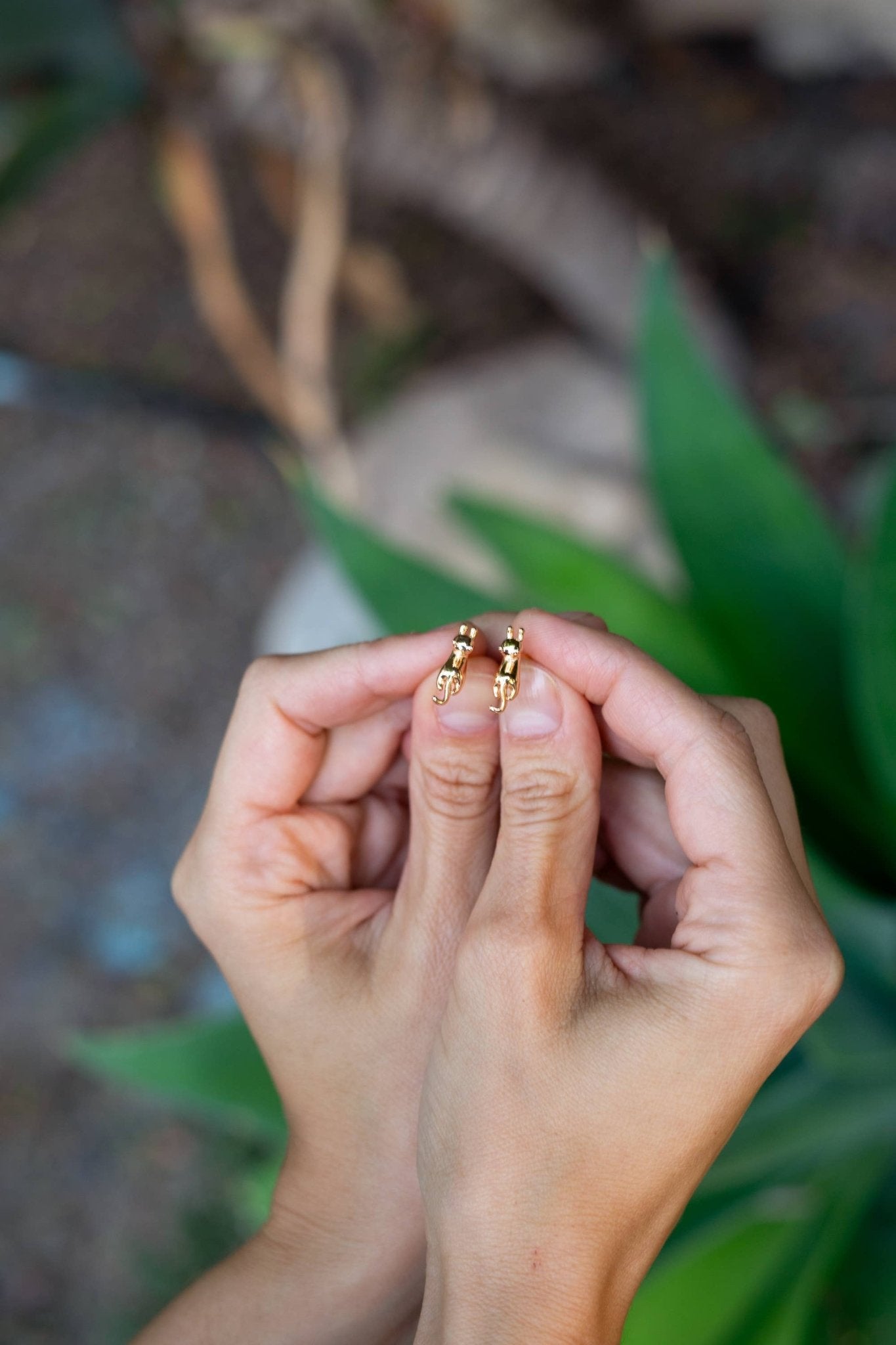Meow Studs - Box Turtle