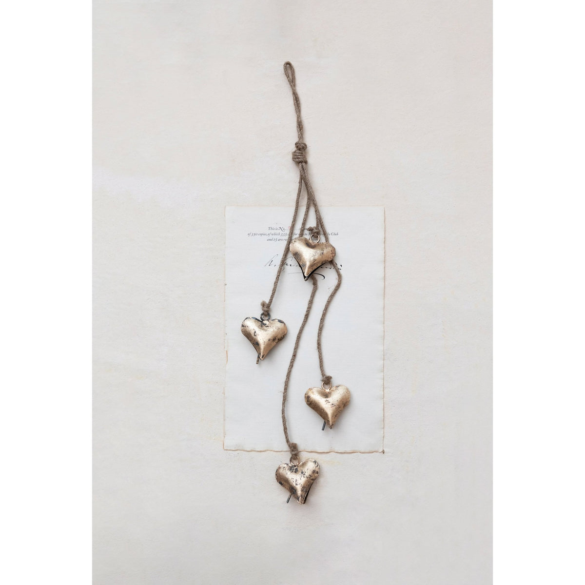 Metal Hearts on Jute Rope - Box Turtle