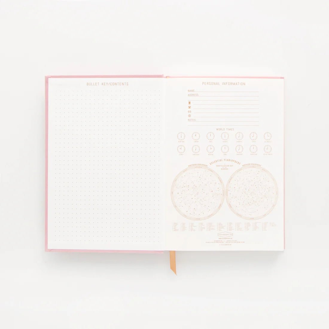 Metallic Suede Journals - Box Turtle