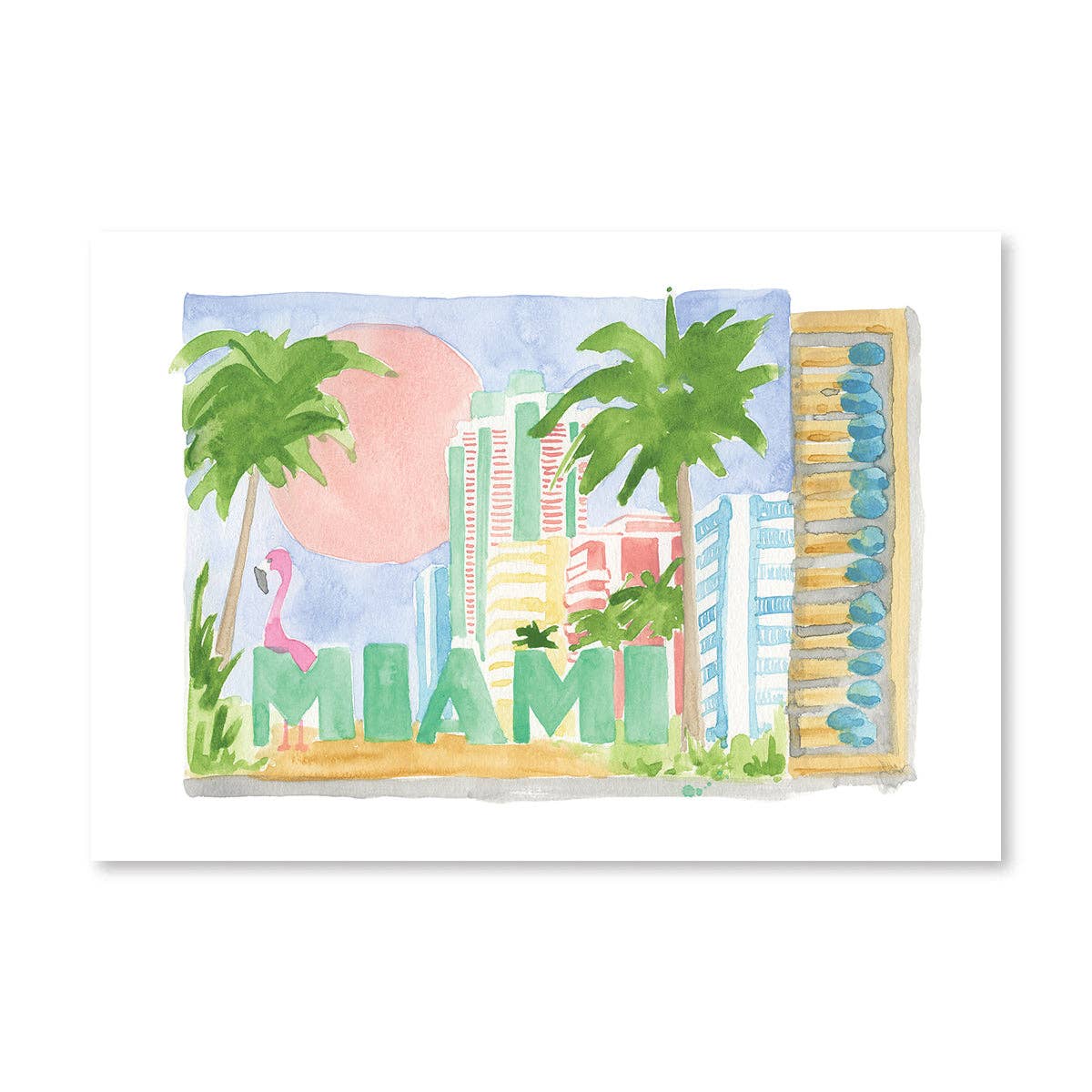 Miami Matchbook - Box Turtle