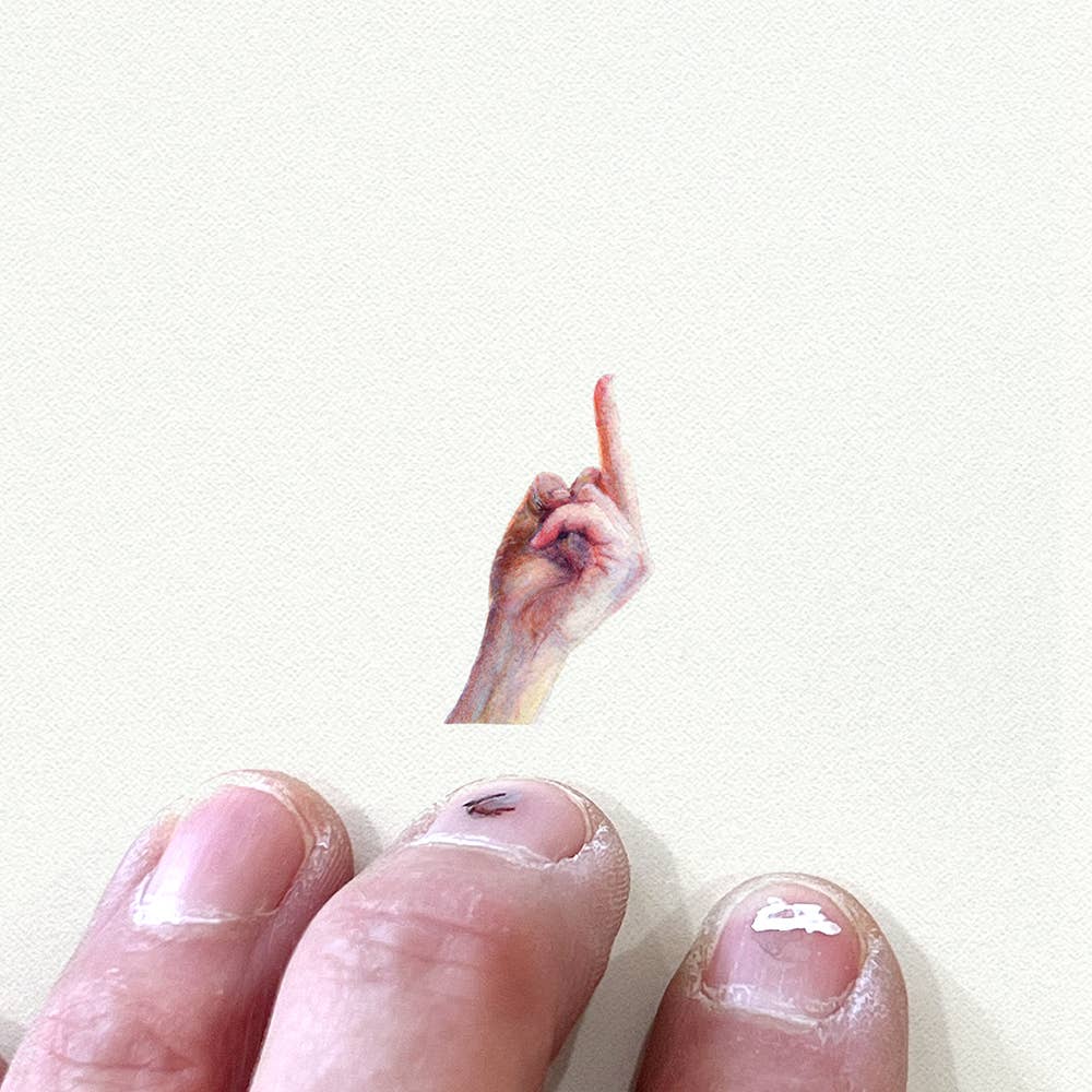 Middle Finger Miniature Watercolor Print - Box Turtle