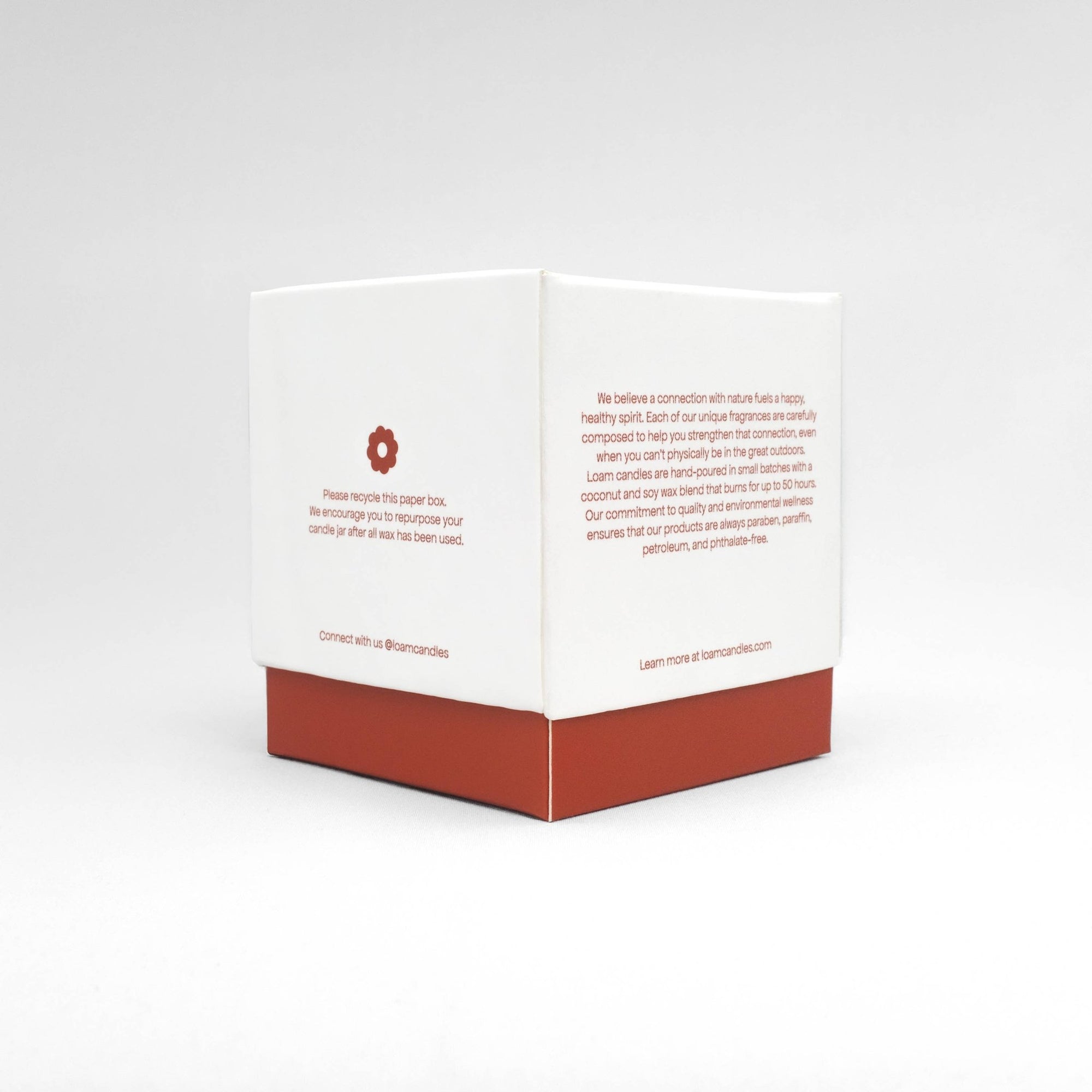 Midnight Moon Candle - Box Turtle
