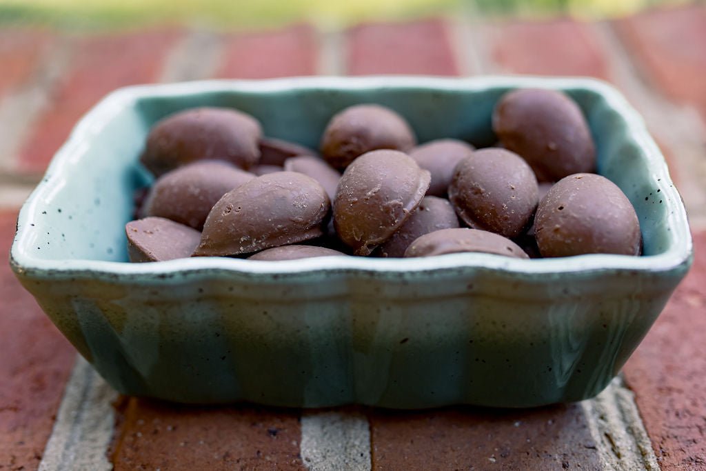 Milk Chocolate Pecans - Box Turtle