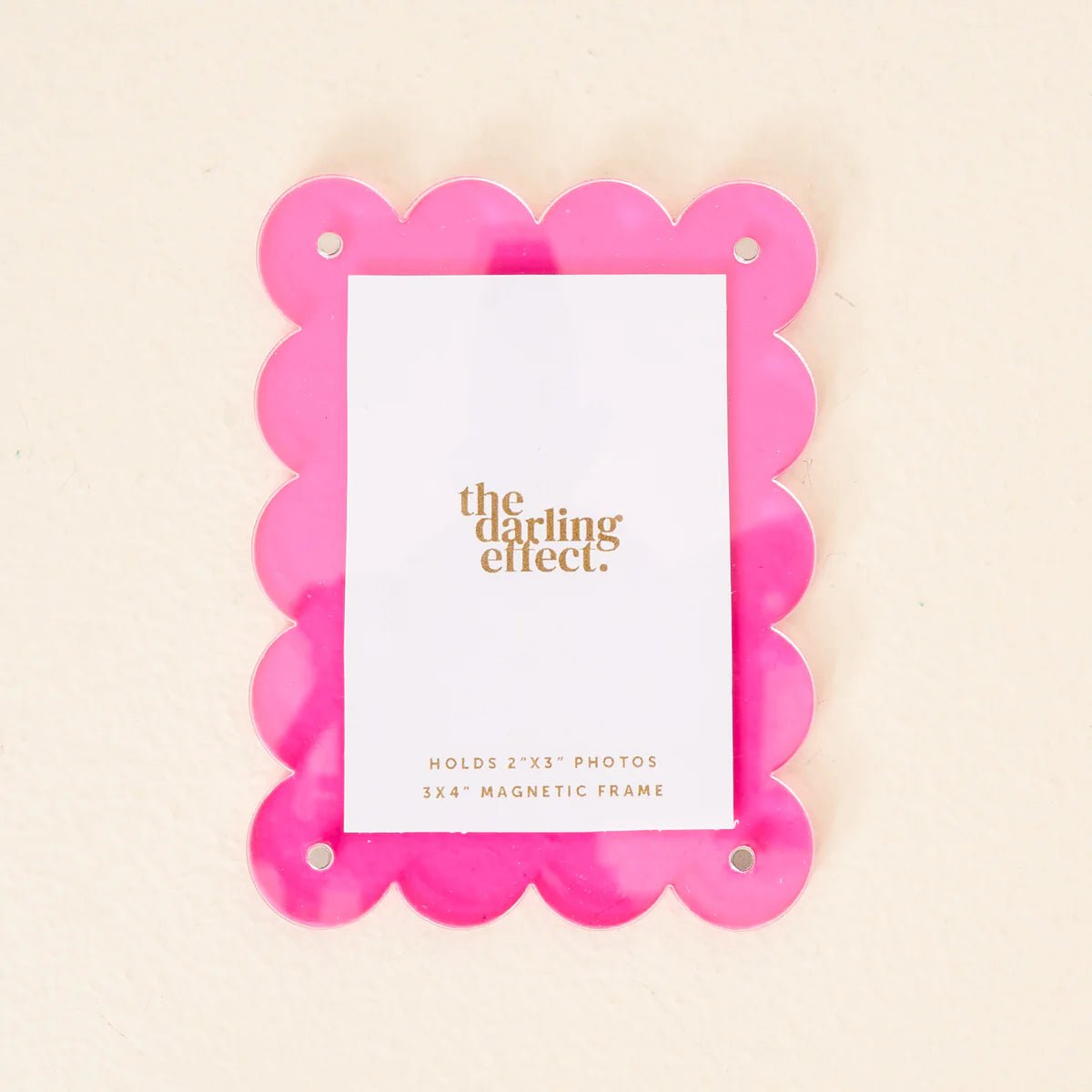 Mini Acrylic Picture Frame Magnet - Box Turtle
