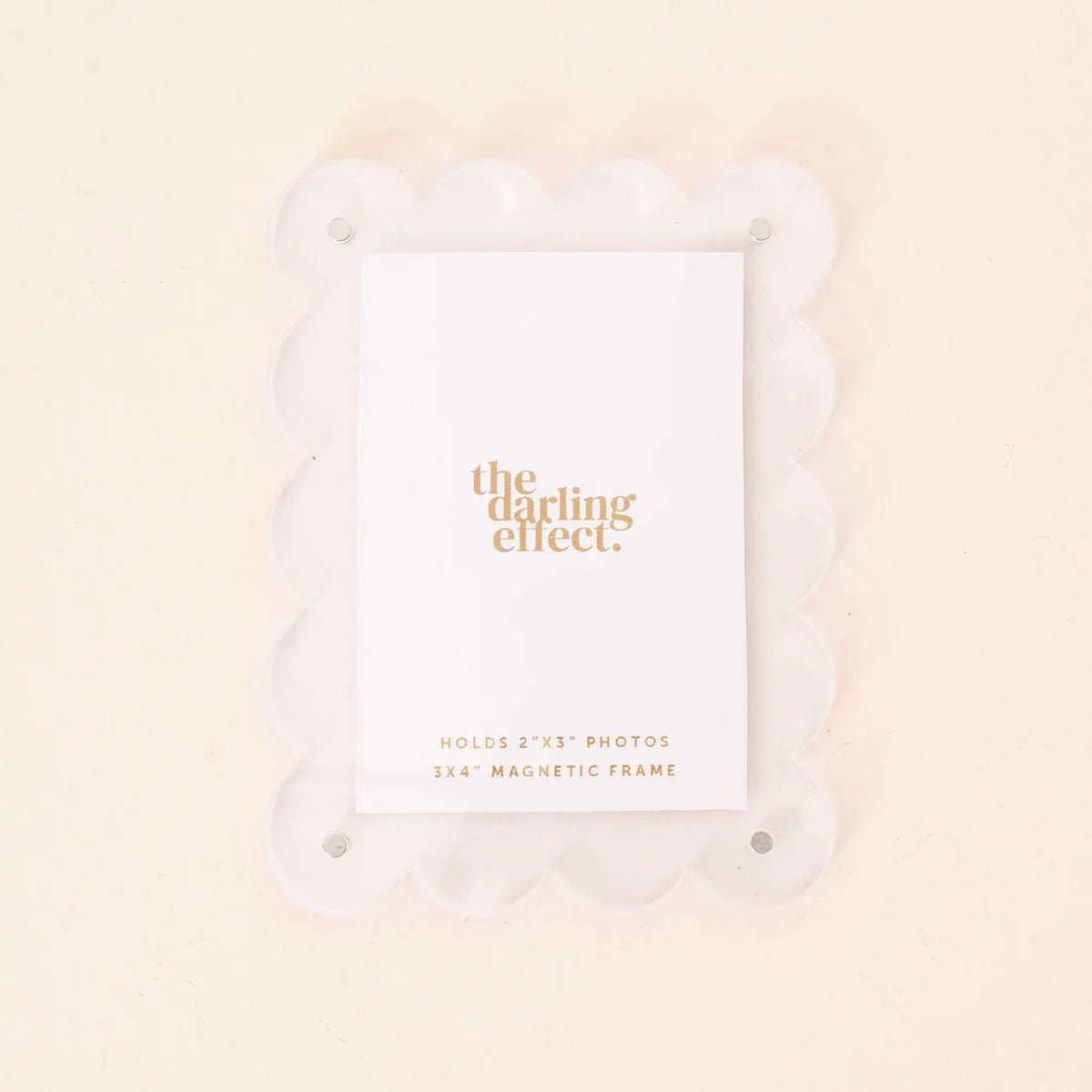 Mini Acrylic Picture Frame Magnet - Box Turtle