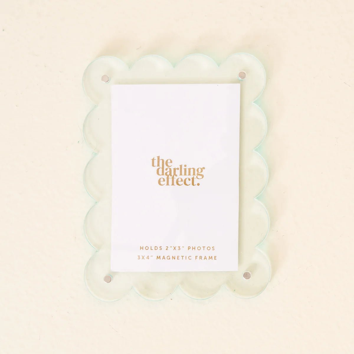 Mini Acrylic Picture Frame Magnet - Box Turtle