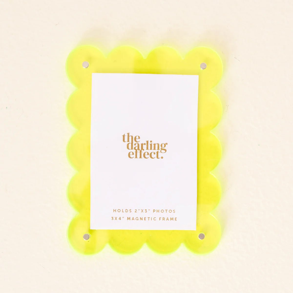 Mini Acrylic Picture Frame Magnet - Box Turtle