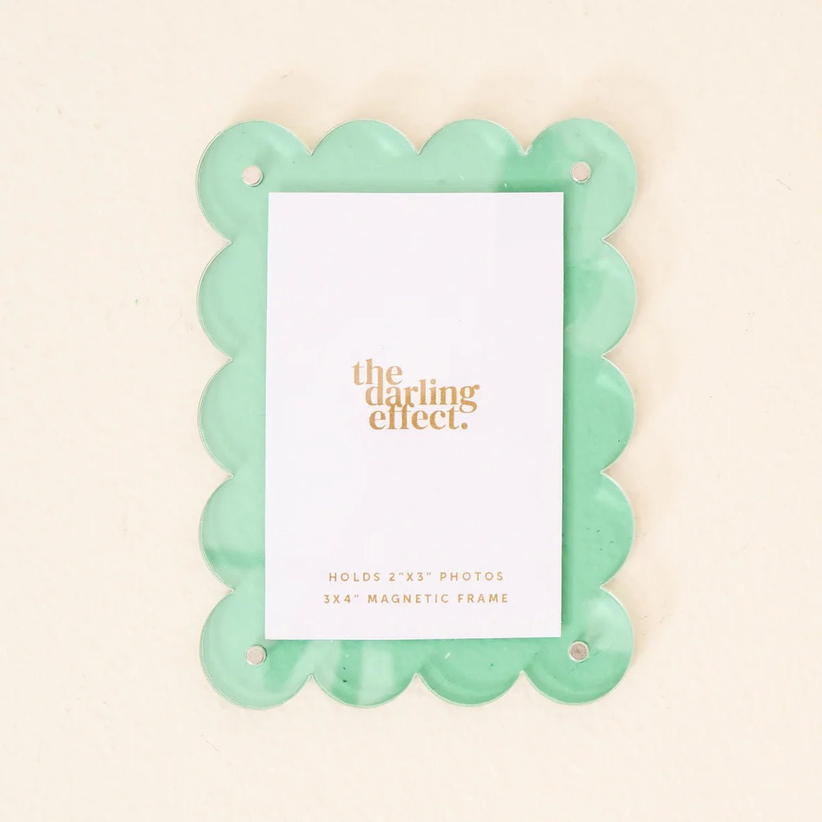 Mini Acrylic Picture Frame Magnet - Box Turtle
