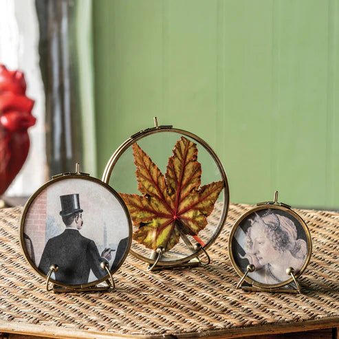 Mini Brass Circle Frames - Box Turtle