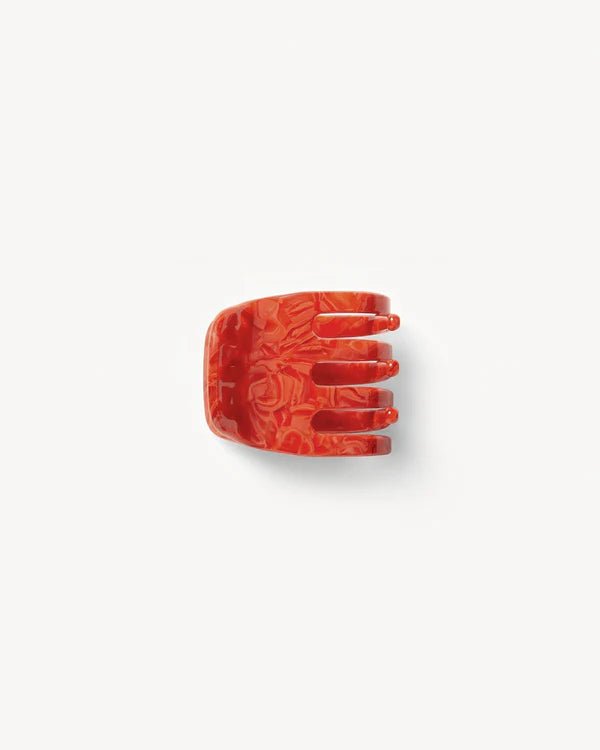 Mini Claw Hair Clip - Box Turtle