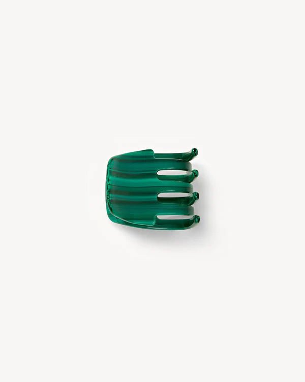 Mini Claw Hair Clip - Box Turtle