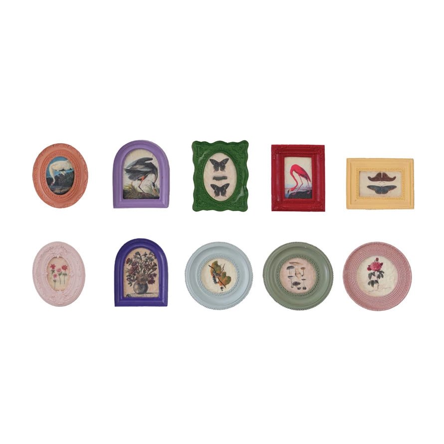 Mini Framed Art Magnet - Box Turtle