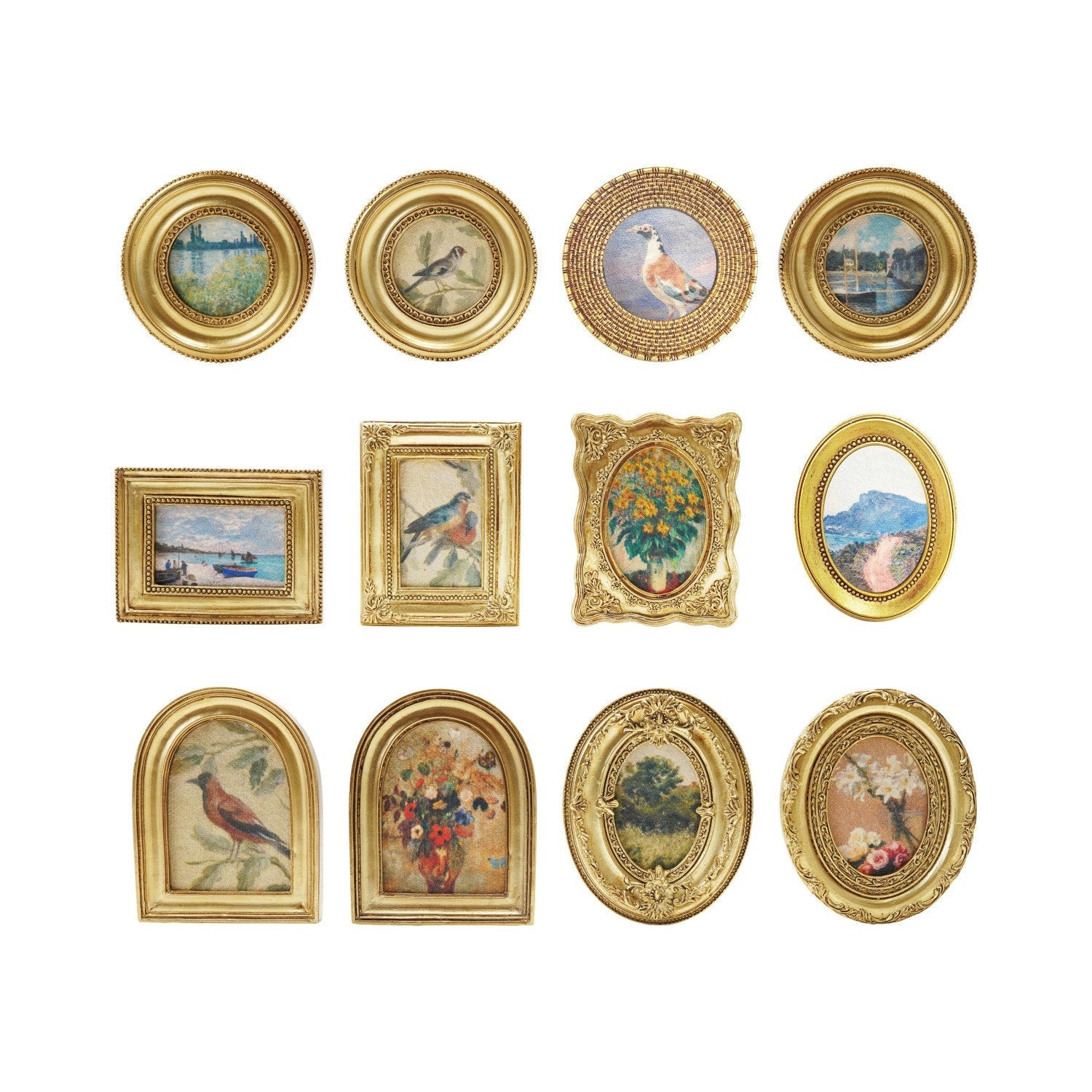 Mini Framed Art Magnet - Box Turtle