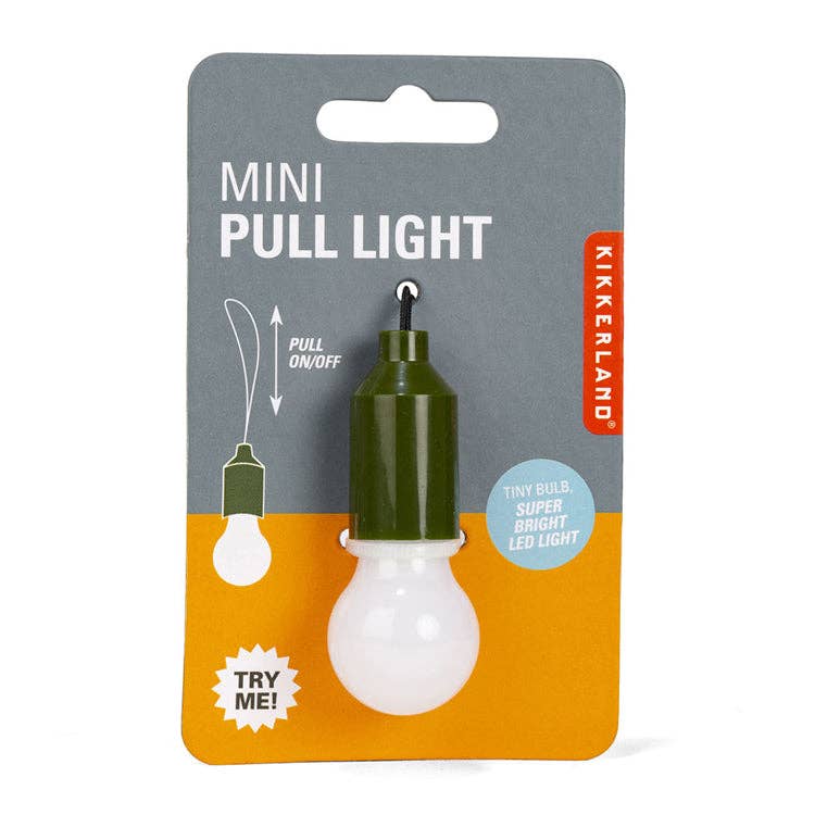 Mini Pull Light - Box Turtle
