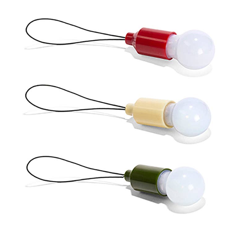 Mini Pull Light - Box Turtle