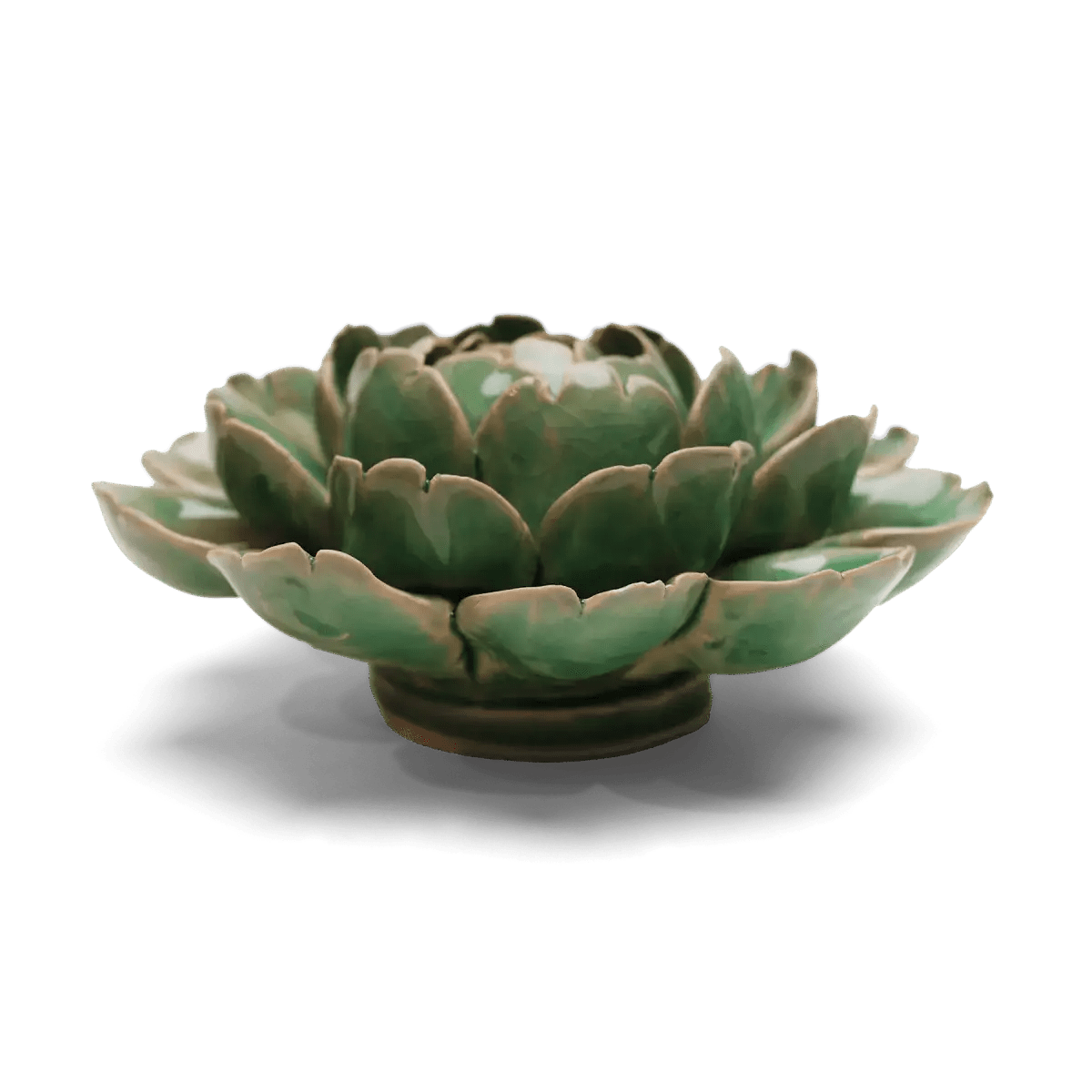Mint Green Ceramic Flower - Box Turtle