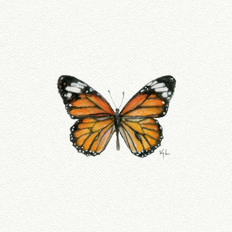 Monarch Butterfly Miniature Watercolor Print - Box Turtle