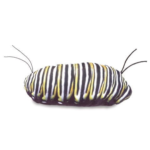 Monarch Life Cycle Puppet - Box Turtle