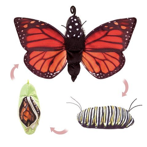 Monarch Life Cycle Puppet - Box Turtle