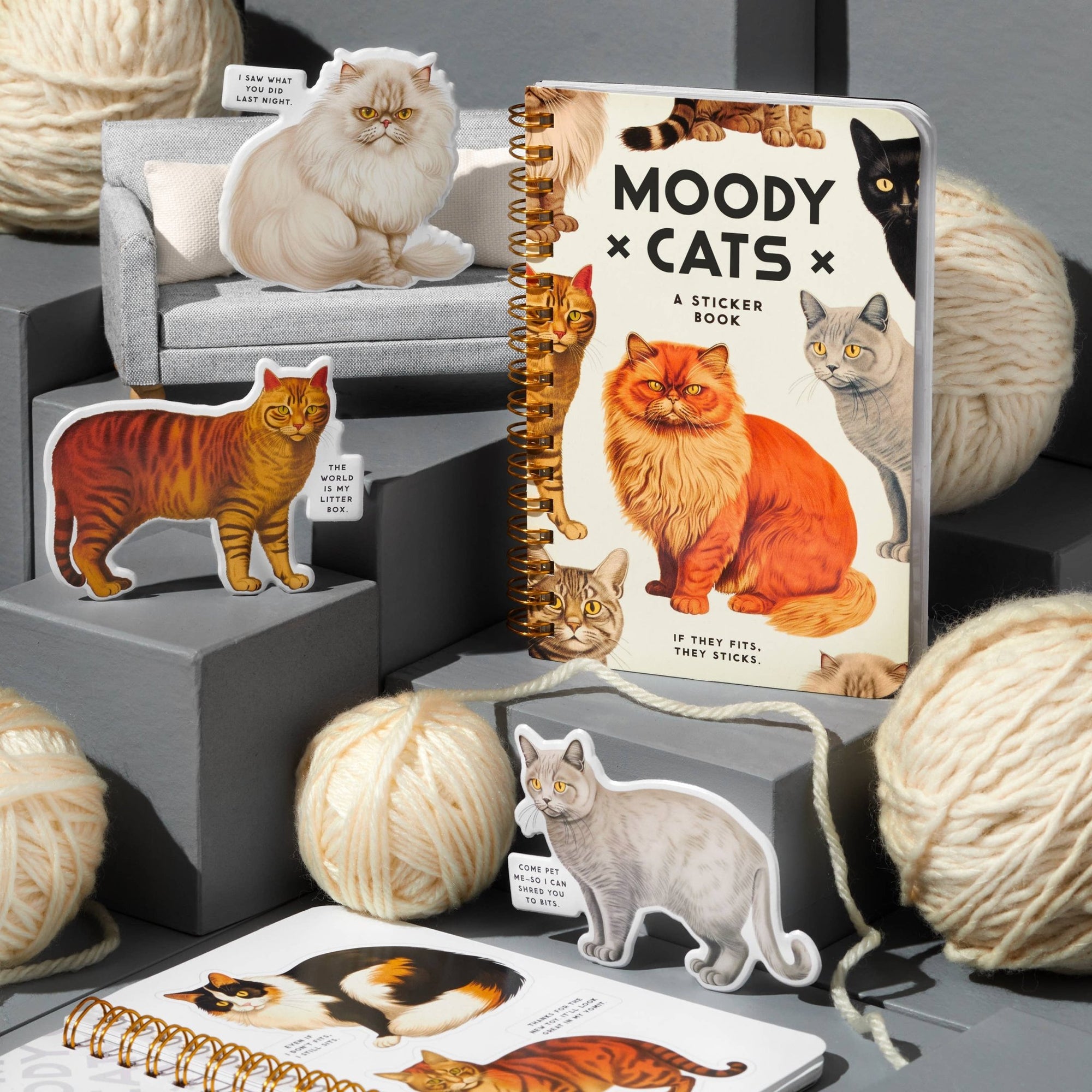 Moody Cats Sticker Book - Box Turtle