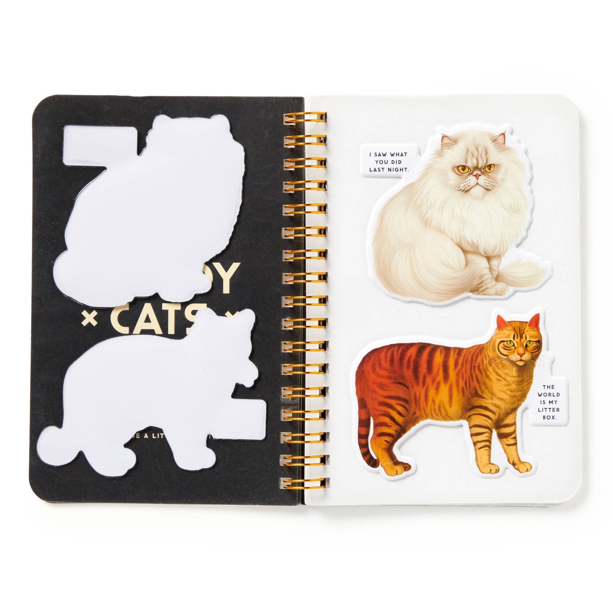 Moody Cats Sticker Book - Box Turtle
