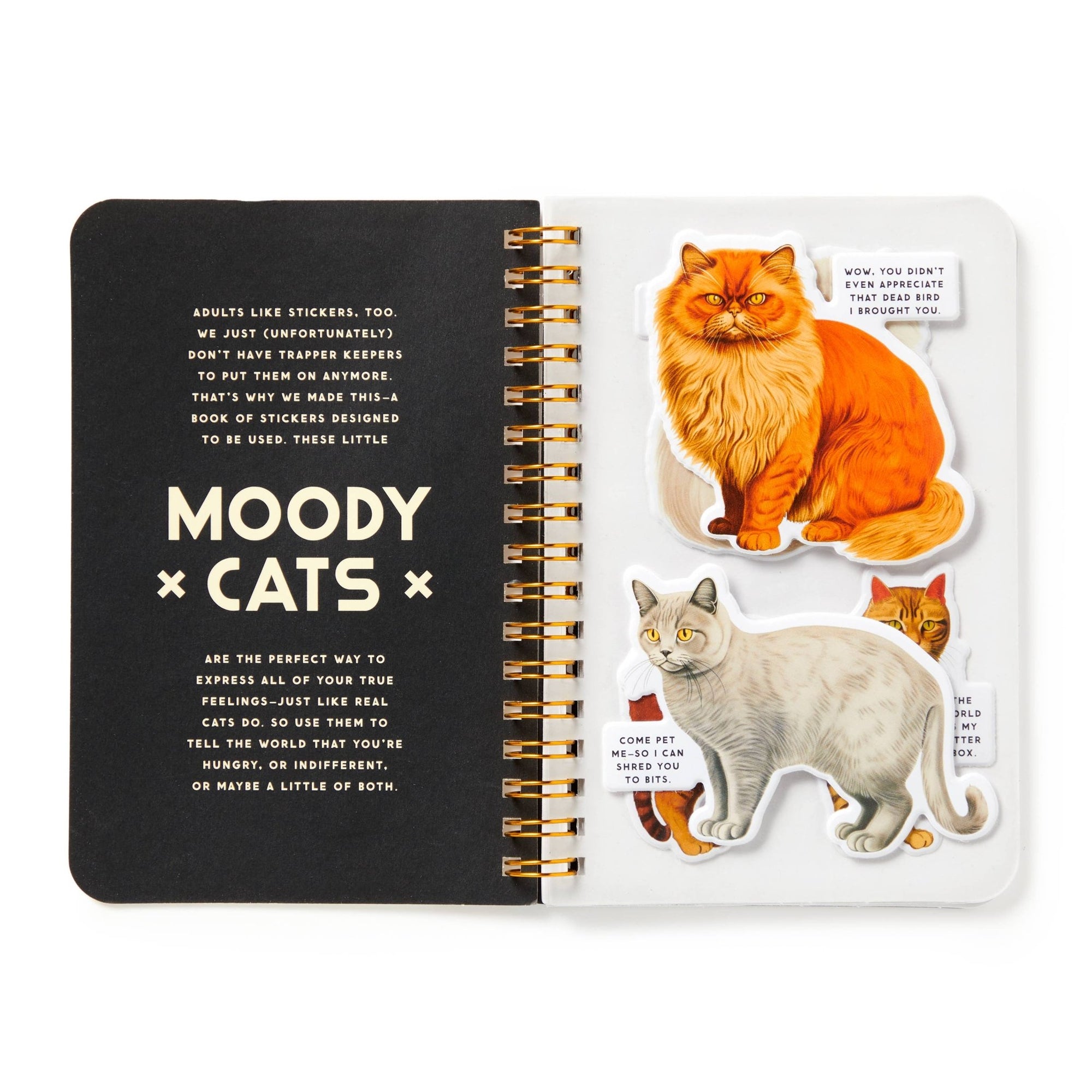 Moody Cats Sticker Book - Box Turtle