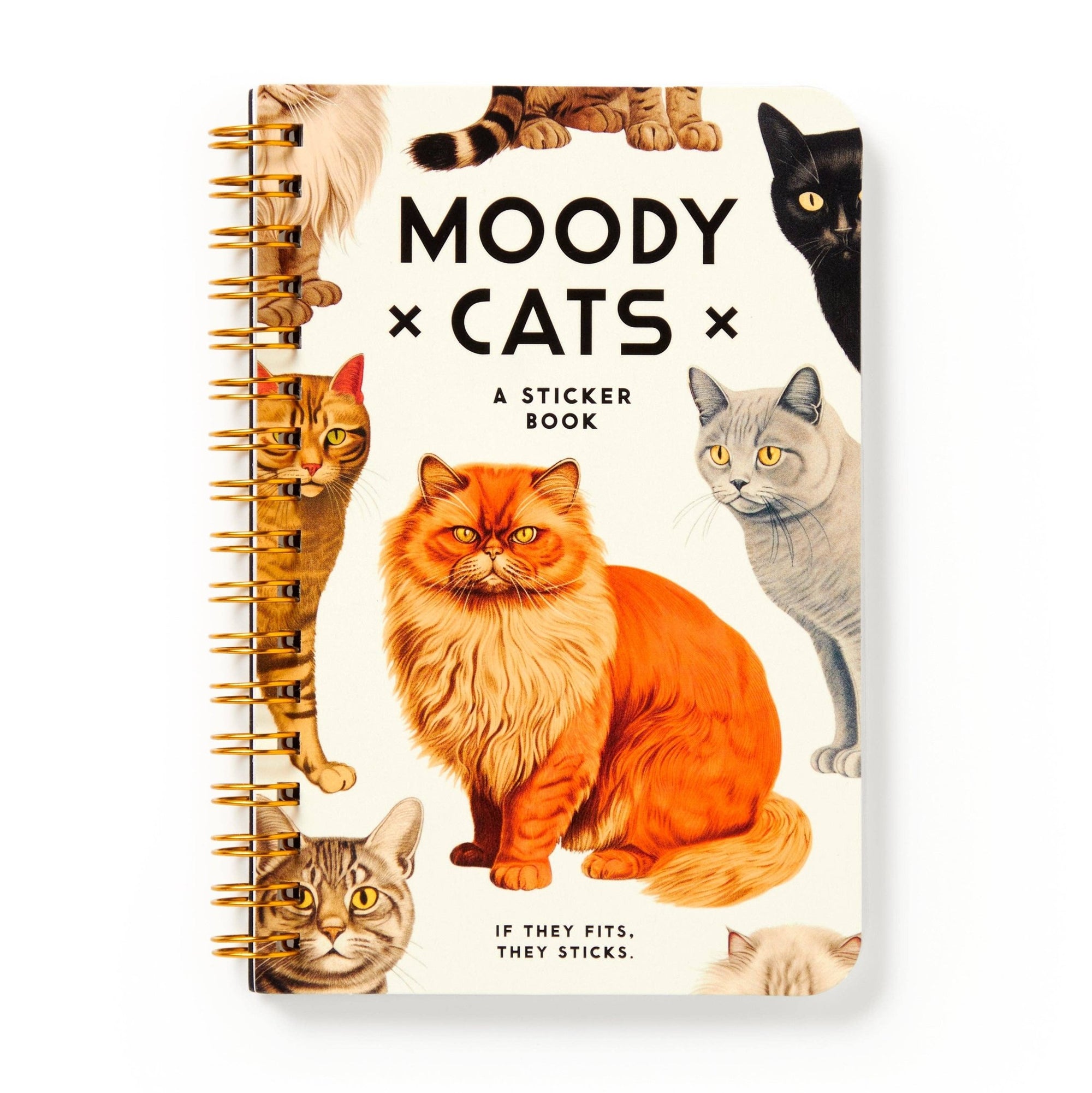 Moody Cats Sticker Book - Box Turtle