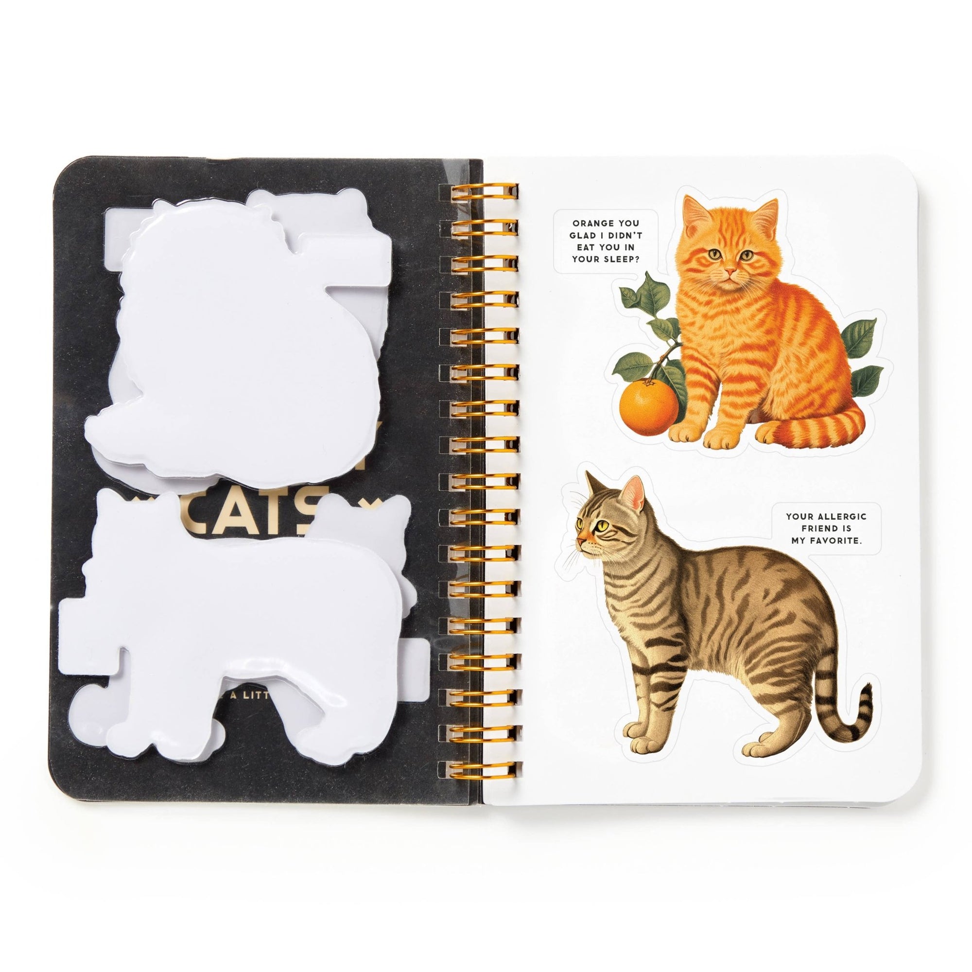 Moody Cats Sticker Book - Box Turtle