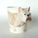 Mug - Bulldog French - Box Turtle