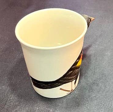 Mug - Red Winged Blackbird - Box Turtle
