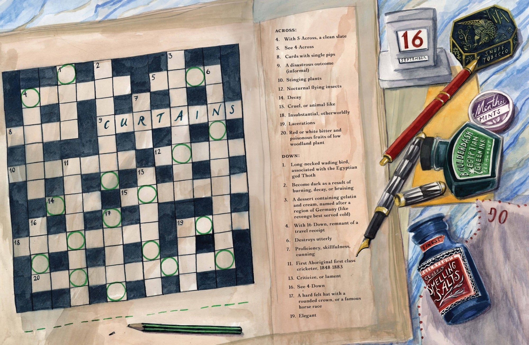 Murder Most Puzzling - Box Turtle