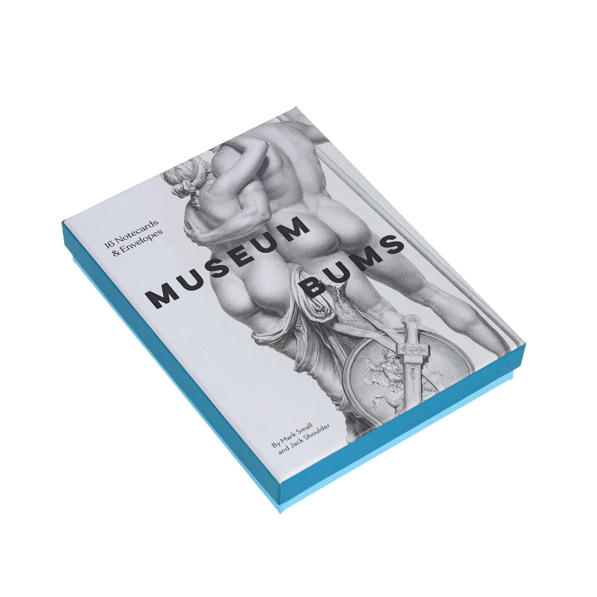Museum Bums Notecards - Box Turtle