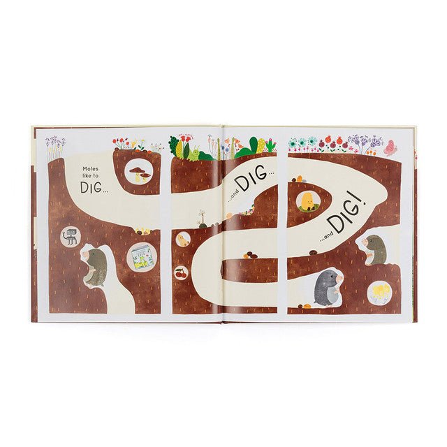 Muswell Mole and the Buried Treasure Book - Box Turtle
