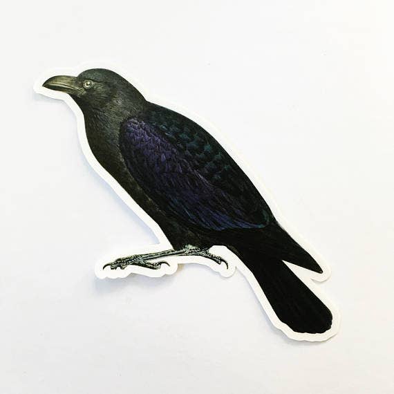 Naturalistic Vintage Raven Vinyl Sticker - Box Turtle