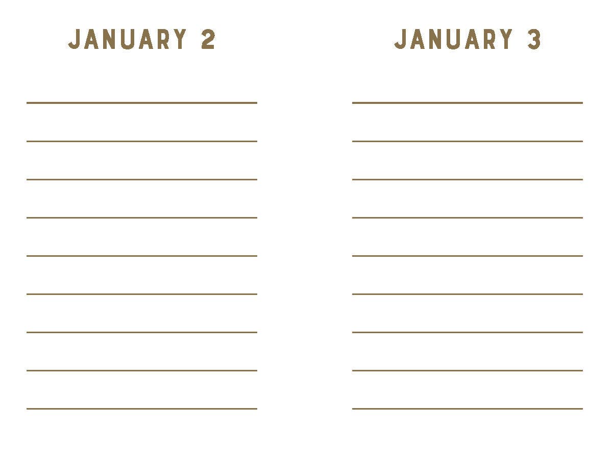 Navy Stripes Mini One Line a Day - Box Turtle