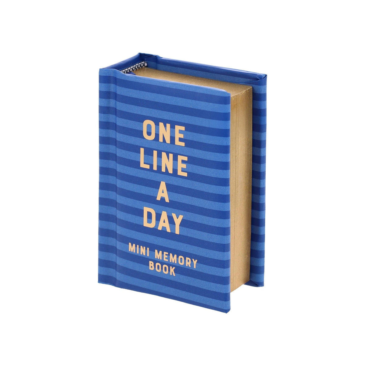 Navy Stripes Mini One Line a Day - Box Turtle
